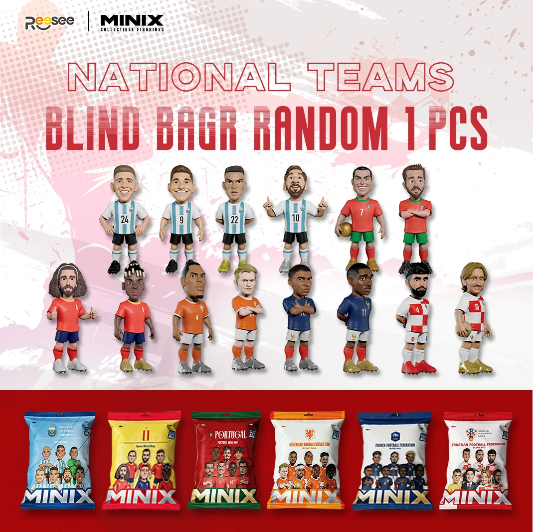 MINIX National Teams Mystery B - Team Sports review and price
