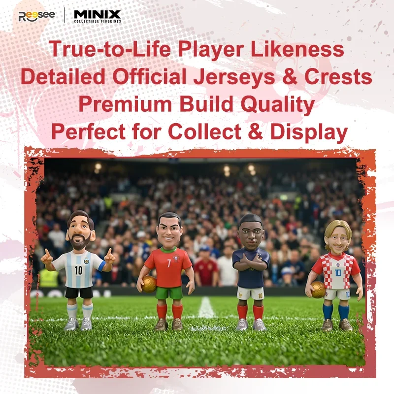 MINIX National Teams Mystery B - Team Sports review and price