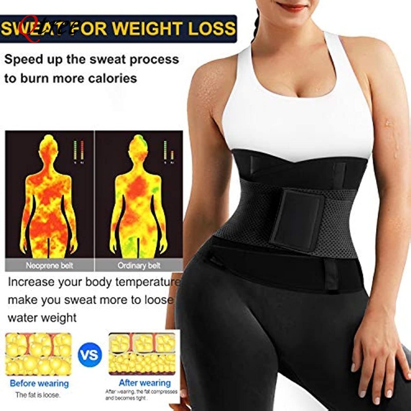 Qtree Hot Neoprene Waist Train - Sweat Waist Trainer Belt Neoprene review and price