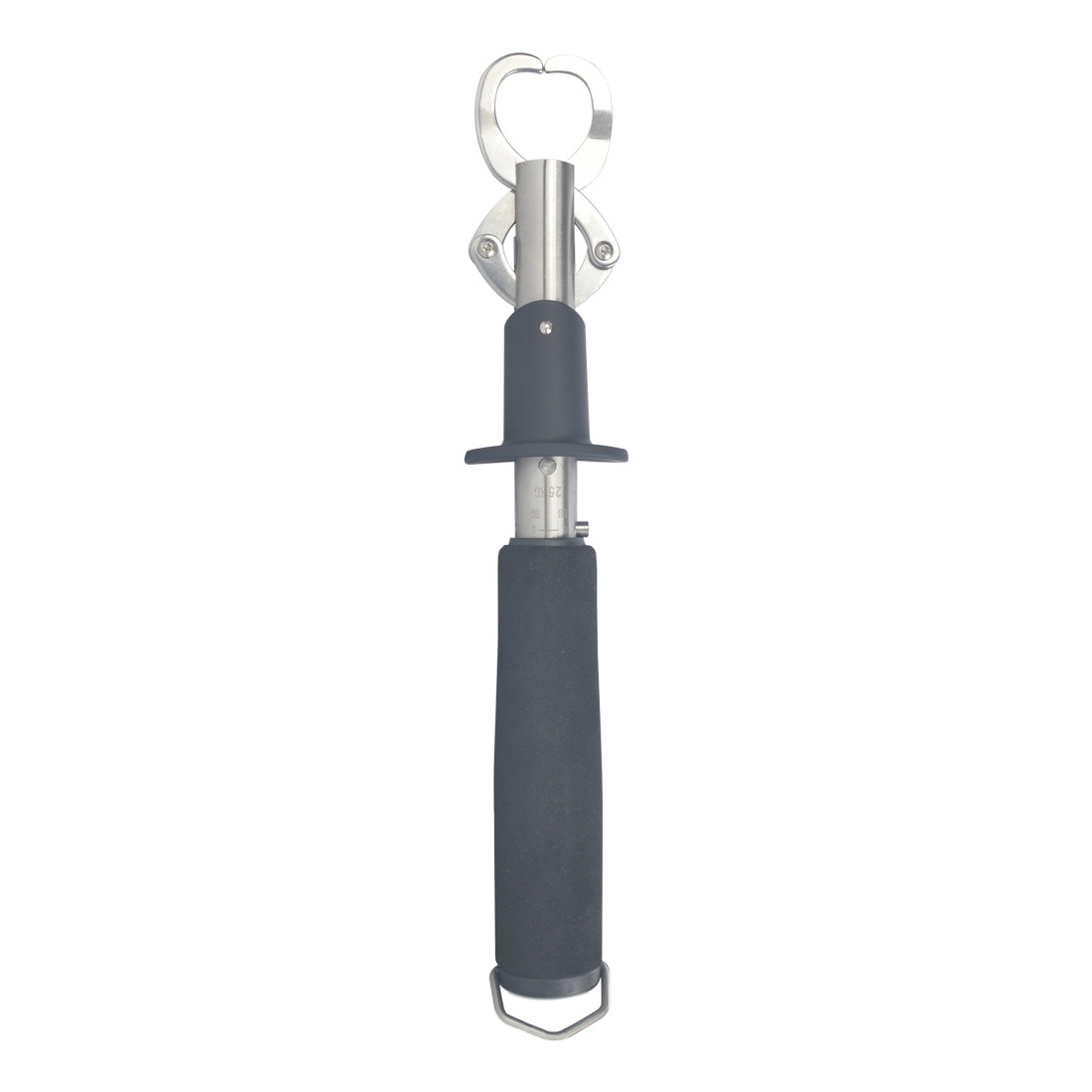 New 25kg Weight Scale Fish Lip - Fishing review and price