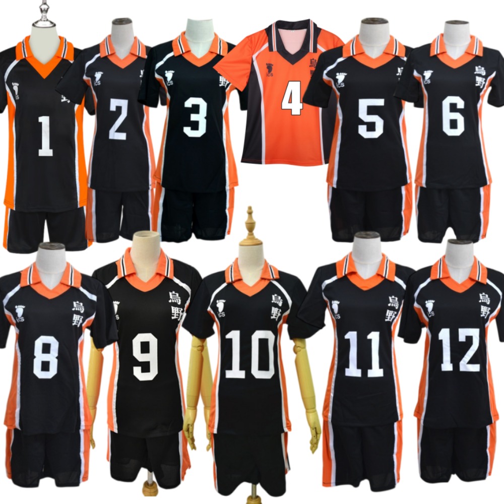 Haikyuu!! Karasuno High School - Team Sports review and price