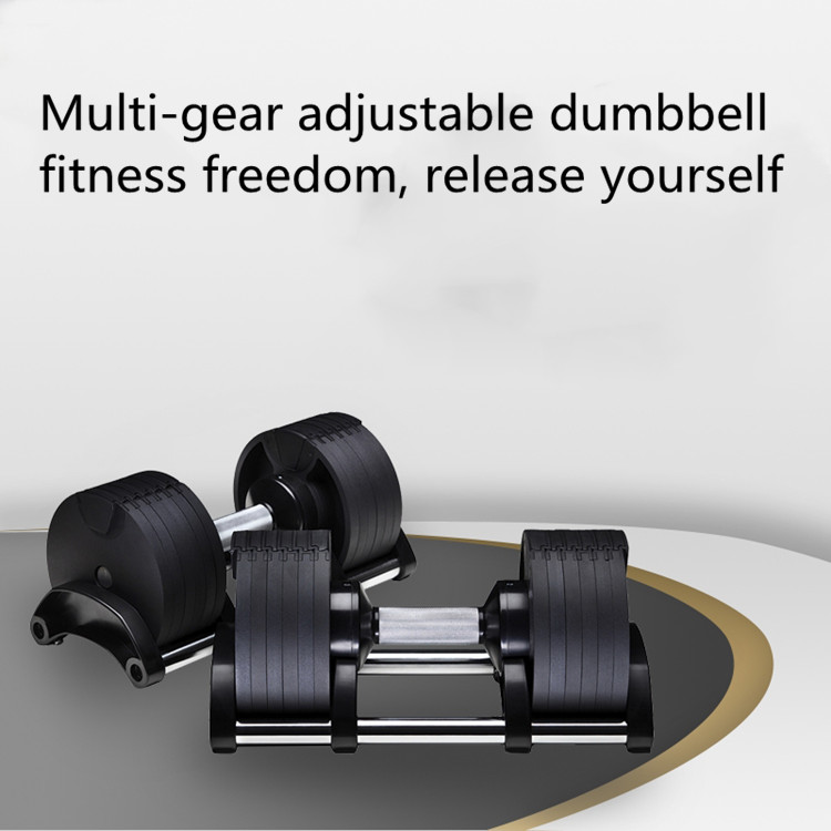 2026 2026 High-End Weights Bod - Adjustable Dumbbell Pair 40Kg review and price